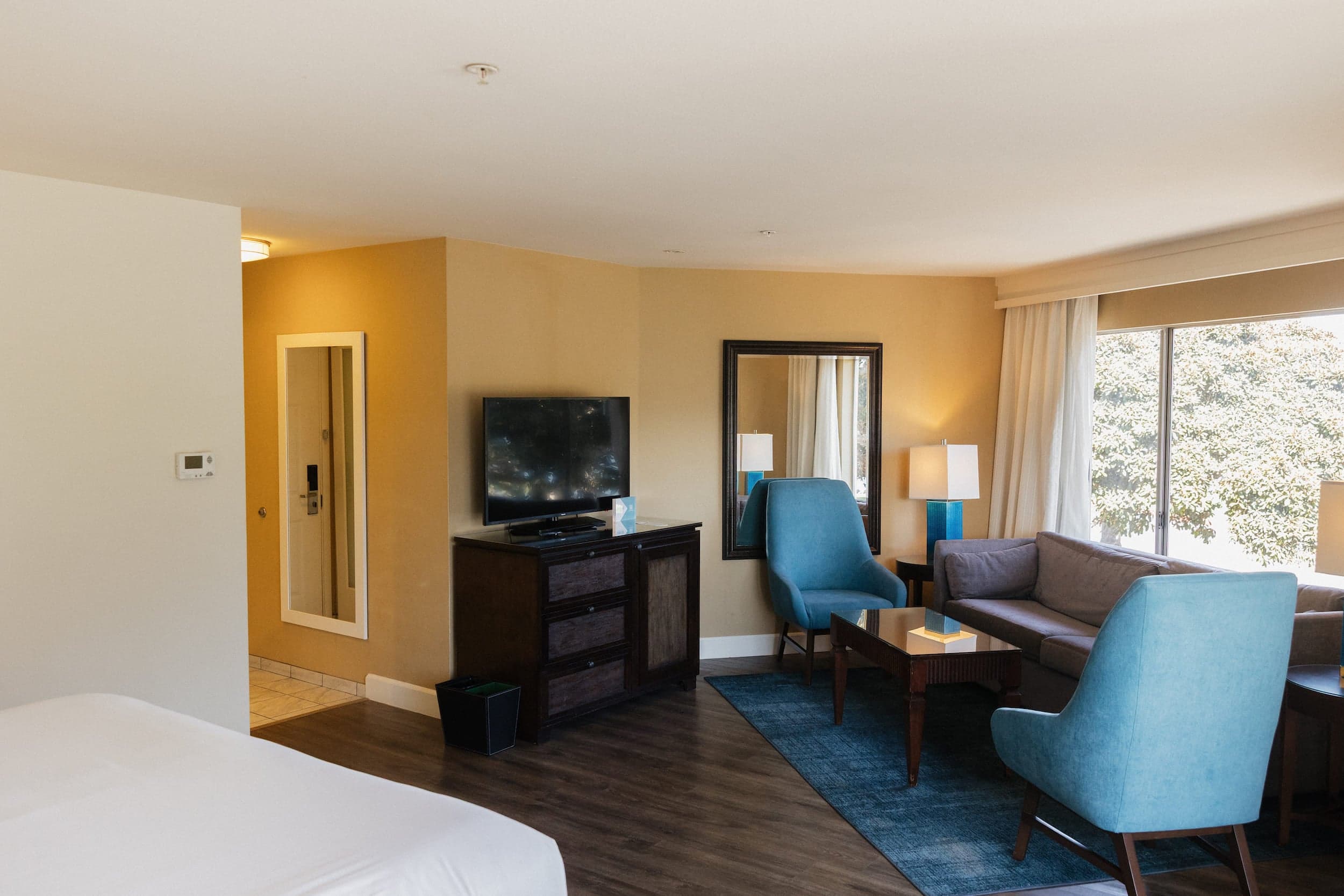 Deluxe Junior Suite Living Area