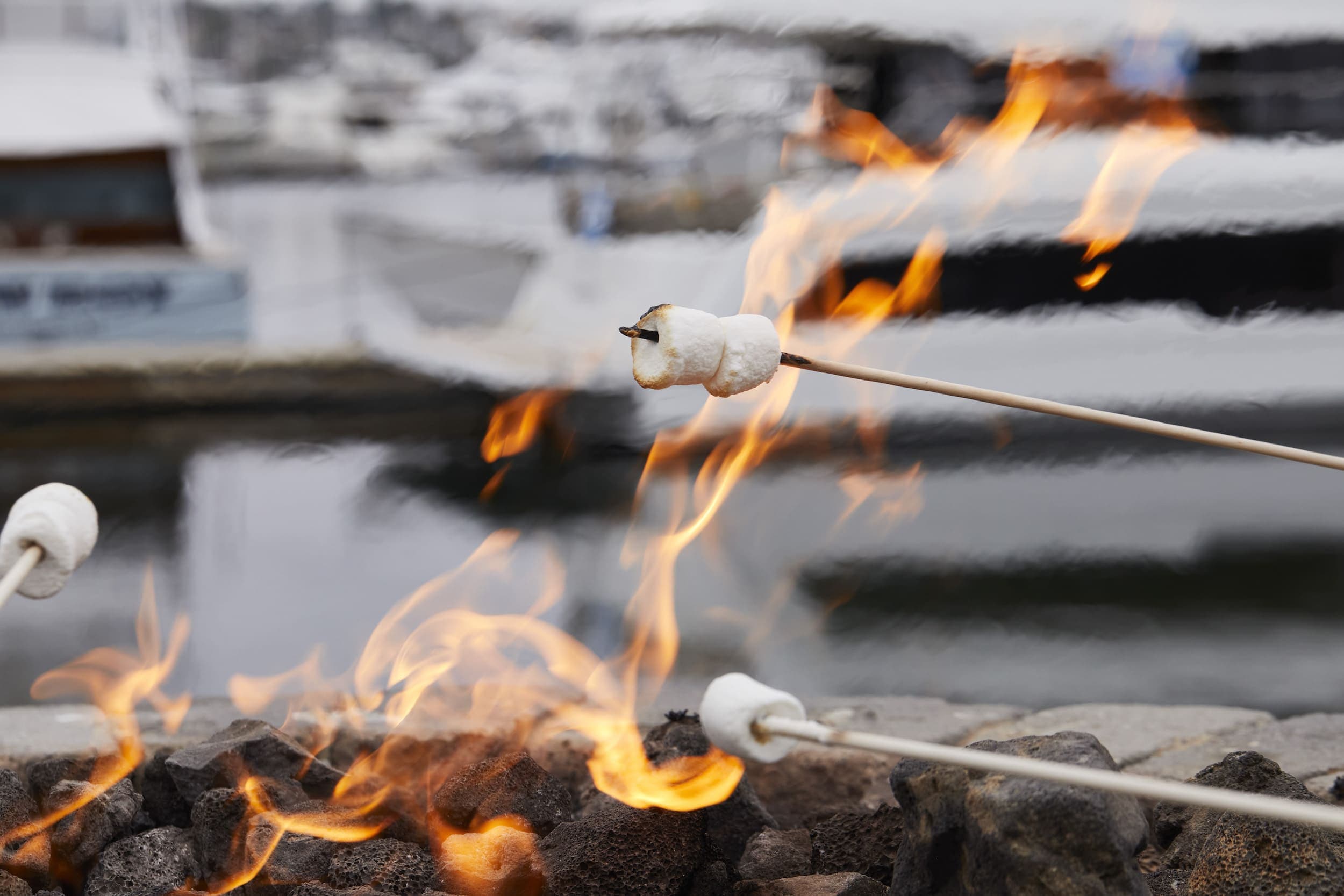 Roasted marsh mellows on sticks above a fire