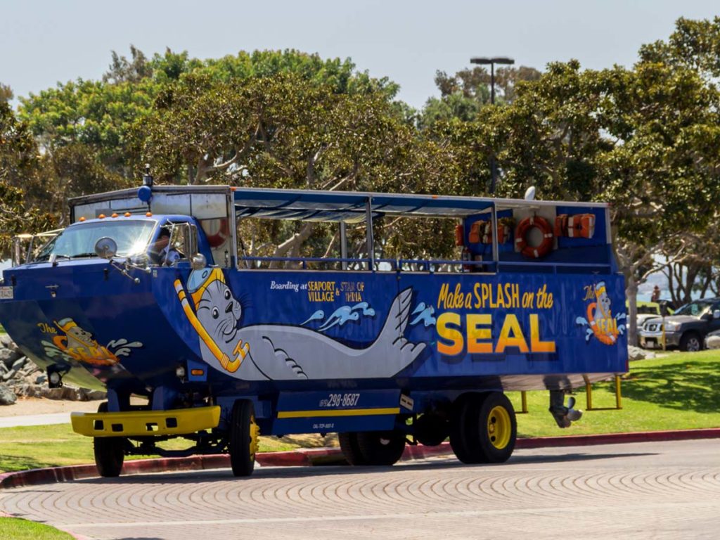 Seal tours San Diego