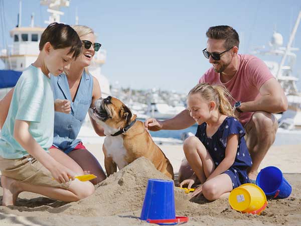 Family At The Beach With Their Dog.