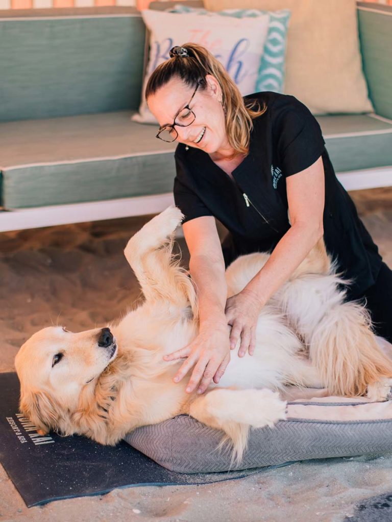 Dog Getting Petted At The Beach.