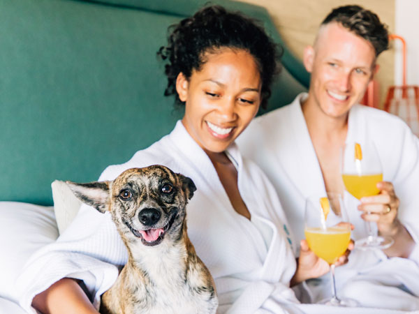 Couple With A Dog In A Guestroom